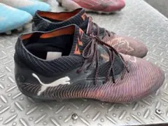 Item thumbnail for item 39356aeb-f07c-483b-8225-5ac8ee0ae7d7