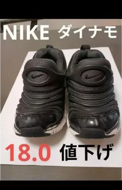 NIKE ダイナモフリー　18cm ナイキ　dynamo free