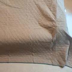 Item thumbnail for item 43b52d0b-434b-46e5-94bb-7a870c524e92