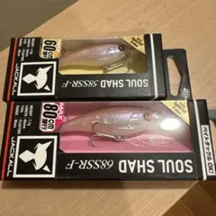 Item thumbnail for item 1e949f27-0f13-45a0-a2b2-495ee643345c