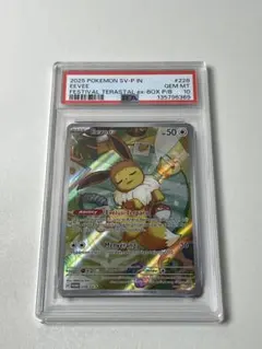 2026年最新】イーブイ arの人気アイテム - メルカリ