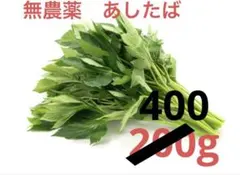 明日葉　あしたば　無農薬　青汁　うさぎ　小動物　おやつのサムネイル
