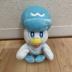 ポケモン　クワッス　ぬいぐるみ