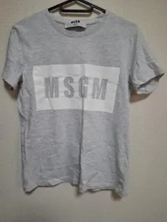 MSGM レディース Tシャツ　Sサイズ　ライトグレー