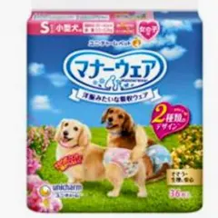 Item thumbnail for item 35ded3e5-bd7a-47d3-b180-03857e1e2099