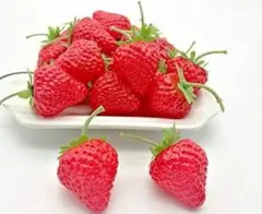 ぱぁこ様 リクエスト 2点 まとめ商品