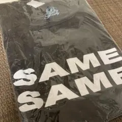 Item thumbnail for item ddb127a3-ed1d-4147-95ee-6c13c9010aca