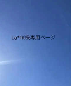 La*1K様 リクエスト 4点 まとめ商品