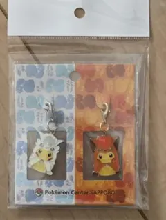 ポケモンセンターキョウト ホウオウ ルギアポンチョのピカチュウ