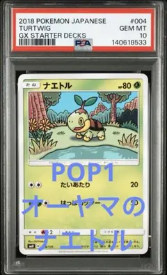 【PSA10】ナエトル　ミラー　001/050 オーヤマ 2026年最新】ナエトル ar psa10の人気アイテム - メルカリ