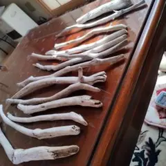 Item thumbnail for item fe6c8b48-89a6-4524-9c6f-fd131bf43e14