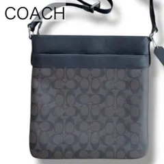 Item thumbnail for item 0f39d3a1-a3b9-4f4d-a064-bc97dd18d777