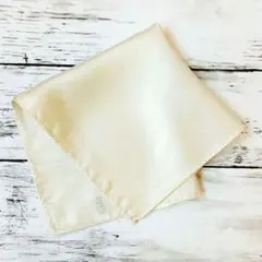 Item thumbnail for item c14fa6d4-3b80-4850-a142-38ce6fc90bc8