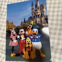 東京ディズニーリゾート クリアファイル