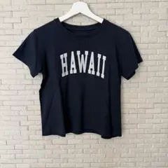 Brandy Melville ブランディーメルベル　ロゴTシャツ ハワイ❤️のサムネイル