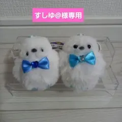 すしゆ@様専用