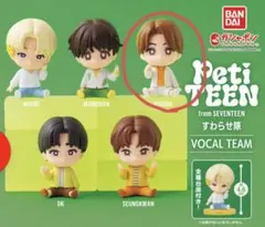PetiteEN from SEVENTEEN Joshua