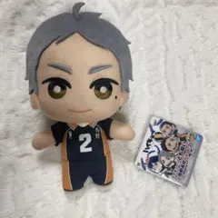 ハイキュー!! ともぬい 菅原孝支