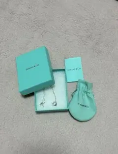 TIFFANY&Co. ティファニー シルバー×14K ロープ リング 13号 - メルカリ