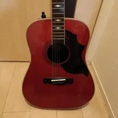 a*0様 Morris Tornado アコースティックギターのサムネイル