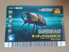 2026年最新】ムシキングフォレストグリーンの人気アイテム - メルカリ