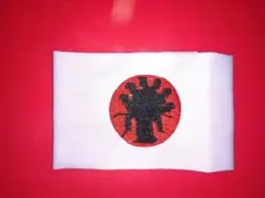 Item thumbnail for item a77b3813-09a2-4993-b4f8-1df139ee66b5