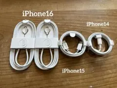 iPhone 未使用ケーブルセット
