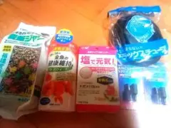 びんちゃんメダカ】びんびん乳酸菌！500ml メダカの餌 水質浄化 - メルカリ