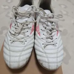 モナルシーダNEO3PRO