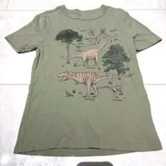 【S/120cm相当】GAPkids 恐竜グラフィックTシャツ