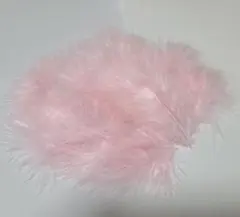 Item thumbnail for item 34634b94-f68e-4559-8505-0b527cf97ef8