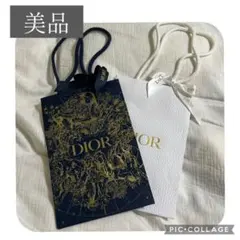 【美品】DIOR ショッピングバッグ　2枚