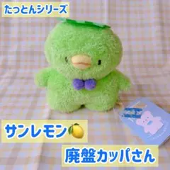 【美品】ふわふわたっとん　ぬいぐるみS かっぱGR サンレモン　タグ付きのサムネイル