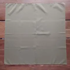 Item thumbnail for item 93708082-5527-424b-bf90-fc9e7d55accf