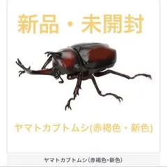 Item thumbnail for item 7c368b61-5fa5-4fa7-98be-334386d217d8