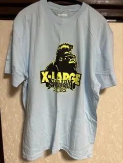 AIRJAM 2018 X-LARGE Tシャツ M ハイスタ　ホルモン