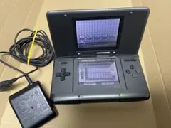 ニンテンドーDS 本体 ACアダプター付き