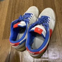 NIKE DUNK LOW 2023 スニーカー