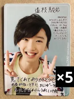 (レア)(2017〜2018年カレンダー付録) 道枝駿佑プロフィールカードセット