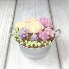 多肉植物の寄植え(樹脂粘土)