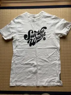 パタゴニアTシャツ ホワイト　サイズM