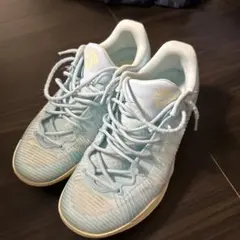 Nike HYPERDUNK 2017 LOW EP 28cm ティファニー - メルカリ