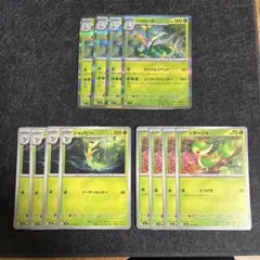 ジャローダ ジャノビー ツタージャ　進化ライン　ポケモンカード　ムニキスゼロ