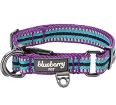 Item thumbnail for item 35be80a3-54d2-4bd6-985b-a826b9e286ff