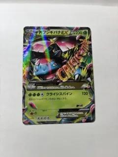 2025年最新】MフシギバナEXの人気アイテム - メルカリ