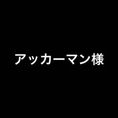 アッカーマン様 リクエスト 2点 まとめ商品