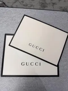 GUCCI ショップ袋 2枚セット