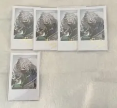 叢雲カゲツ デビューチェキ 5点