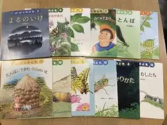 SALE！探してみよう　秋は虫取りの季節♪ かがくのとも　虫・いきものの本１２冊
