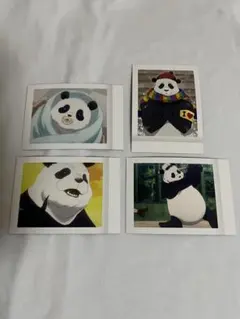 呪術廻戦　パンダ　ぱしゃこれ